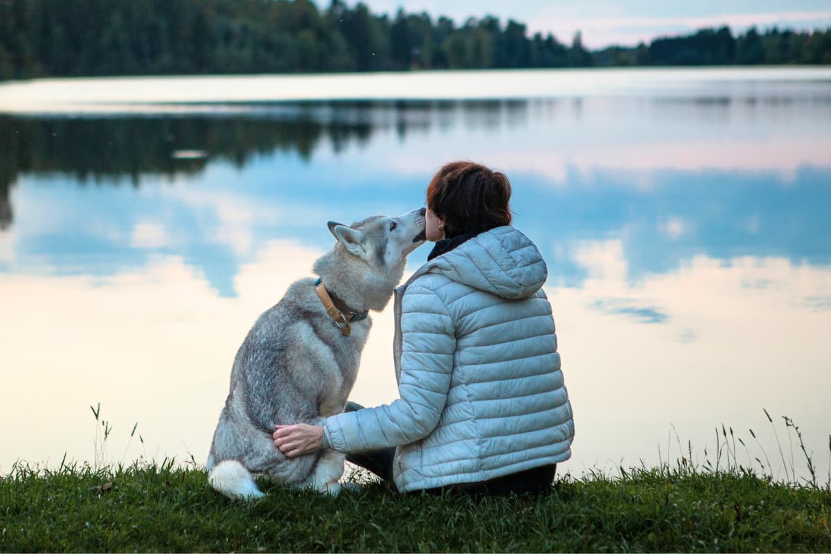 Relation épanouie chien