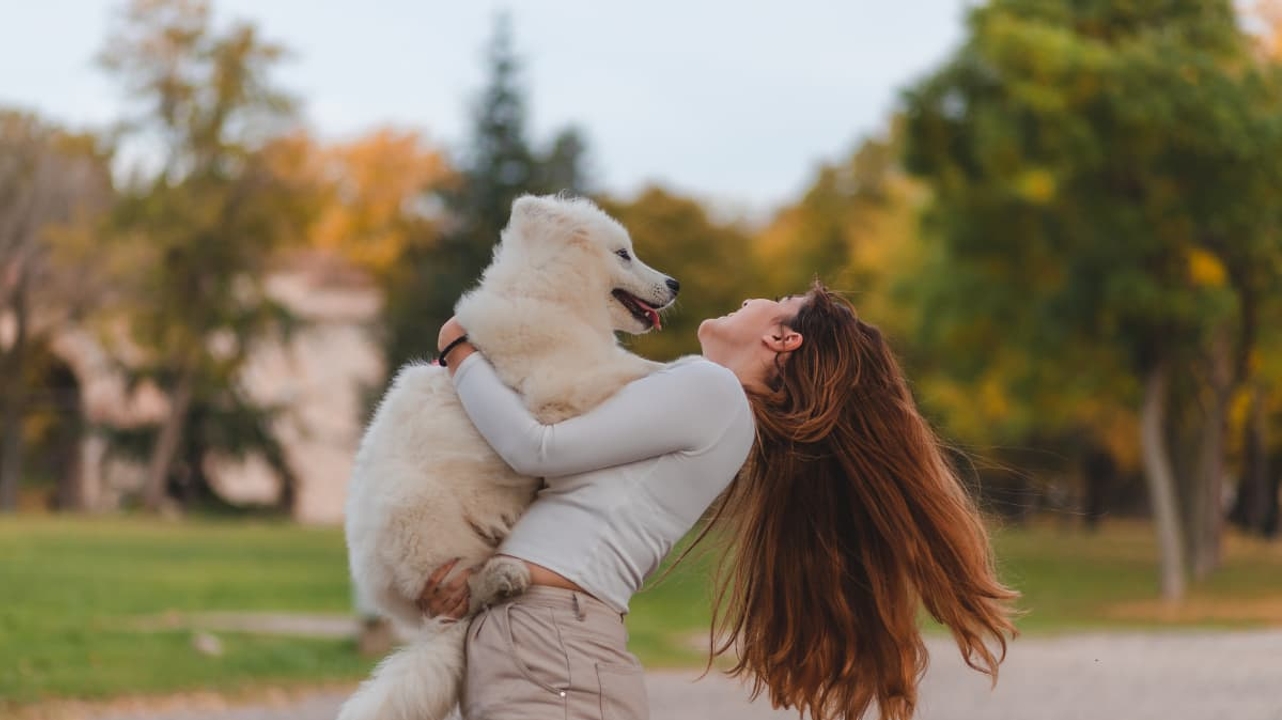 Méthode Canis Verba