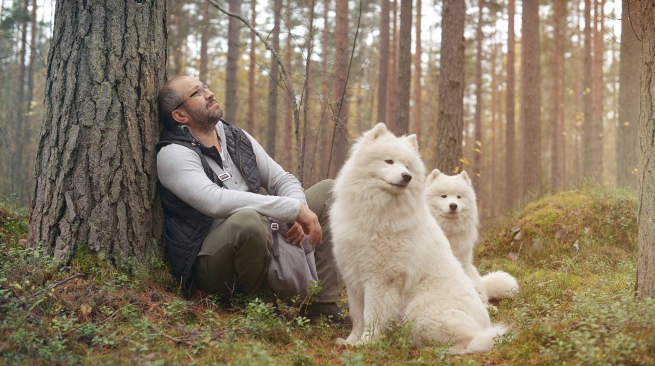 Prestations comportement canin