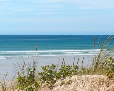 Plage de Noirmoutier, berceau des soins Artemia