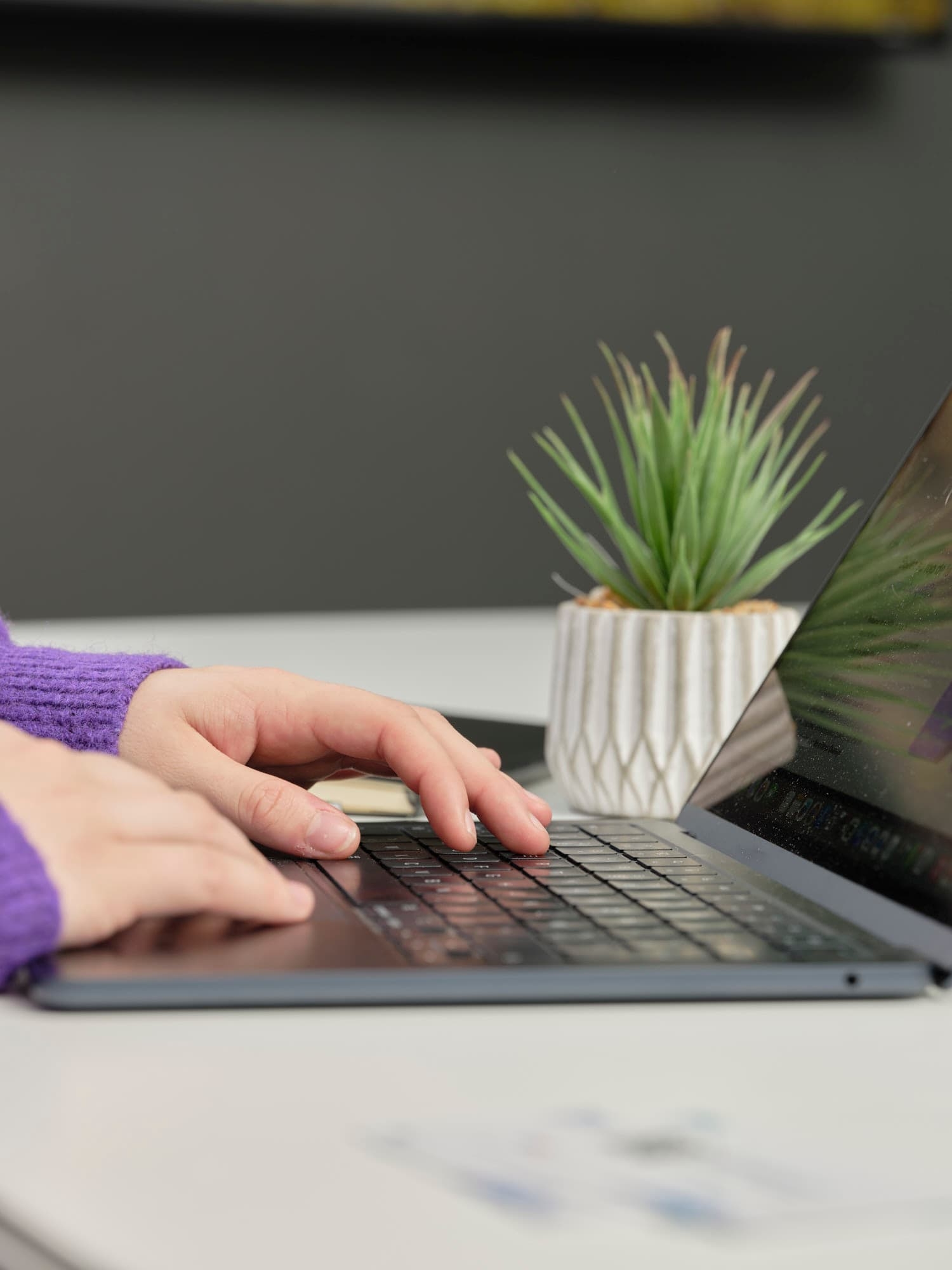 Gros plan sur les mains de Clothilde tapant sur le clavier de son ordinateur portable, une plante en pot à côté