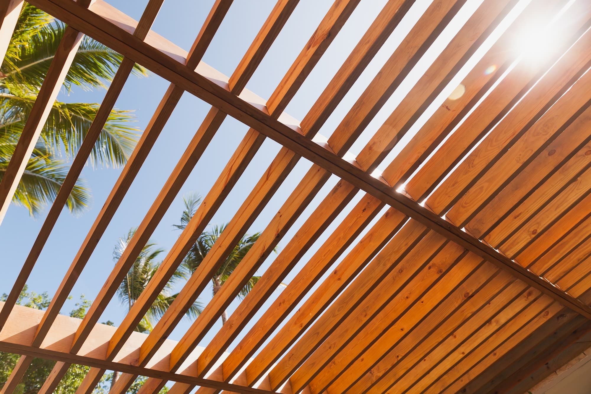 Lames d'une pergola en bois vues du sol