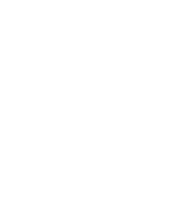 Logo Rousseau Construction Bois