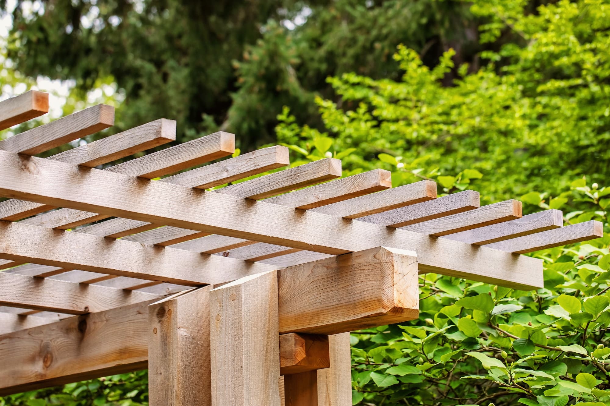 Gros plan sur une pergola en bois