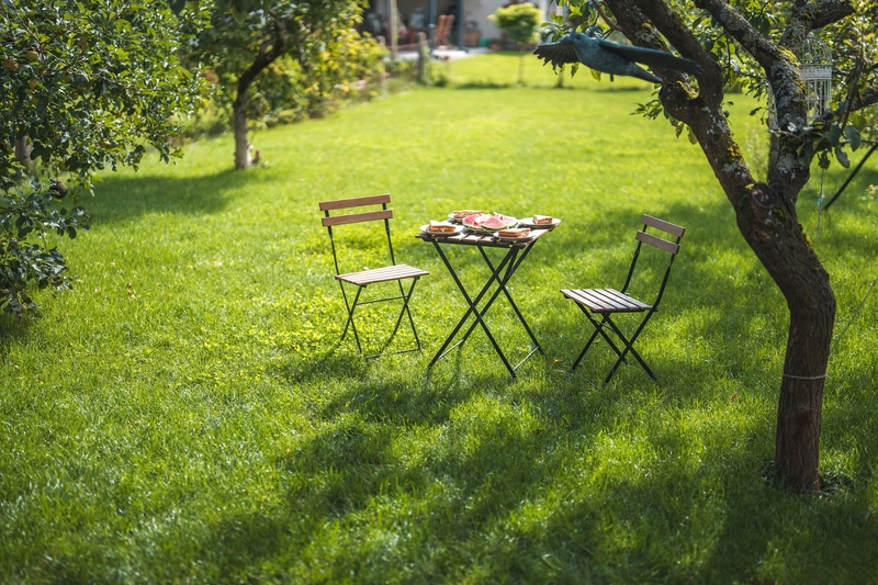 Salon de jardin installé dans l'herbe