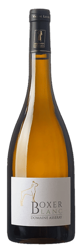 Boxer Blanc 2019