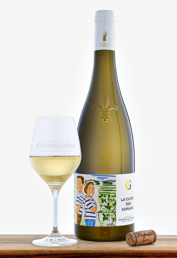 bouteille de vin blanc muscadet sevre et maine sur lie cuvee des copains et verre de vin