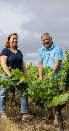 Vignerons dans les vignes du Domaine de la Grenaudière