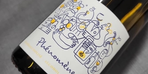 Bouteille Phénomène, vin sans alcool du domaine