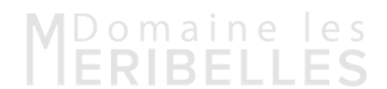 Logo Domaine les Méribelles