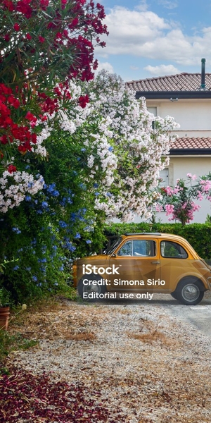 Fiat 600 rétro dans la campagne vendéenne