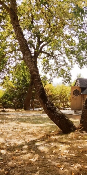 Statue de bouddha au gîte Capkala