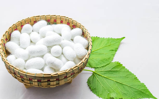 Cocons blancs