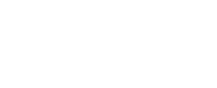 Logo Domaine Saint Nicolas