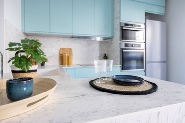détails cuisine aux meubles bleu clair avec vaisselle plante