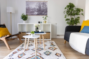 salon avec canape fauteuil tapis tables basses etagere plantes