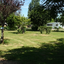 Terrain du camping pour les balades des chiens