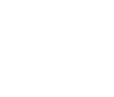 Logo Carole Coussot