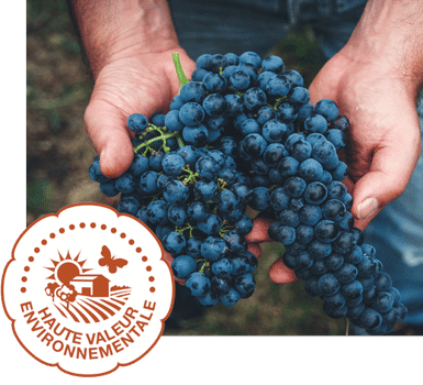 Un domaine labellisé Haute Valeur Environemental (HVE)