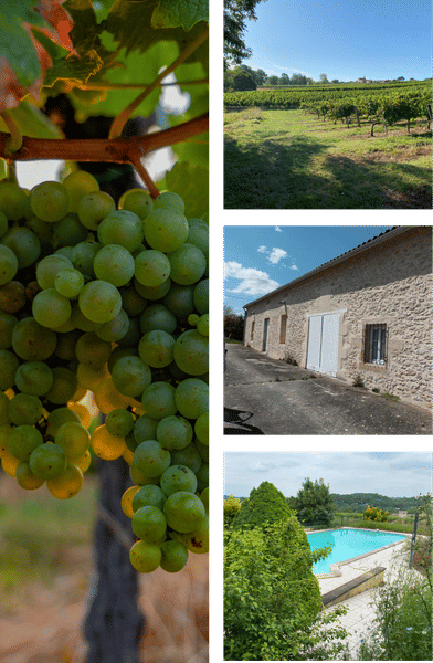 Château la piolette en image