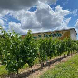 Aire de pique nique dans les vignes