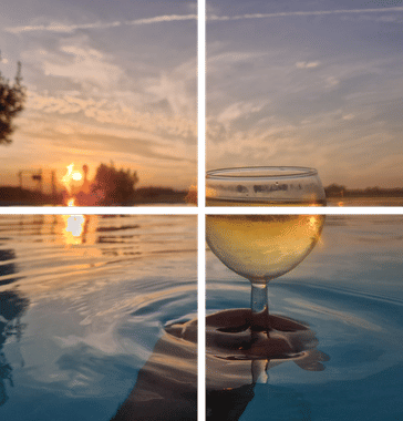 Les valeurs du Vignoble Pougeard