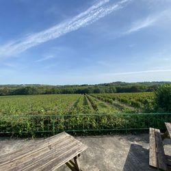 Aire de pique nique dans les vignes