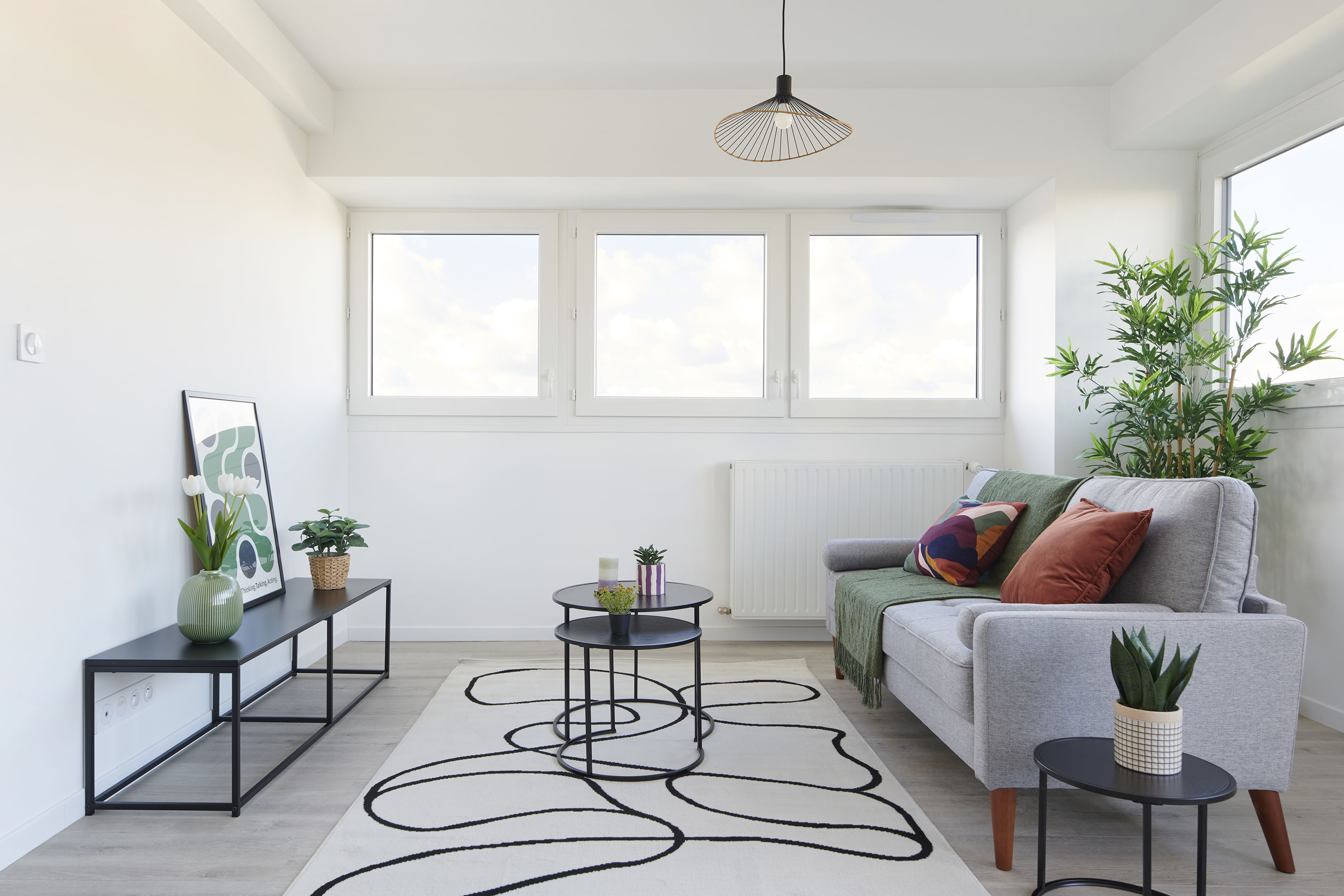 Salon meublé et décoré pour la vente à Nantes avec canapé, tapis, table basse, meuble tv, coussins , plante, décorations...