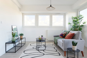 Salon meublé et décoré pour la vente à Nantes avec canapé, tapis, table basse, meuble tv, coussins , plante, décorations...