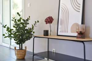 Home staging Sautron détails déco plante meuble cadre