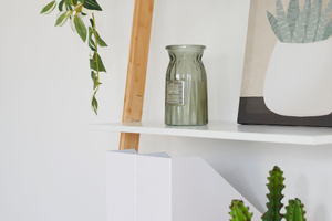 home staging cholet appartement déco plante étagère AntePostea