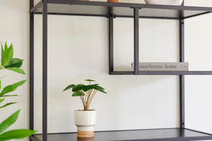 Etagere metallique noire avec accessoires de décoration plante