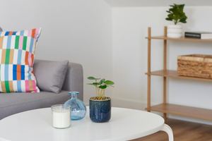 Home staging salon avec canapé tapis table basse meuble cadre plante déco