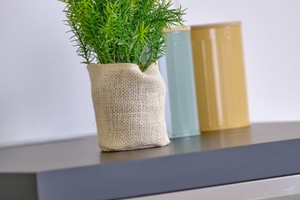 Home staging saint hilaire de riez accessoire cuisine plante