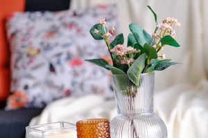 Home staging vendee détail décoration salon vase plante