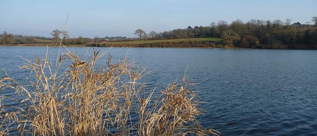 Photo du Lac de Jaunay